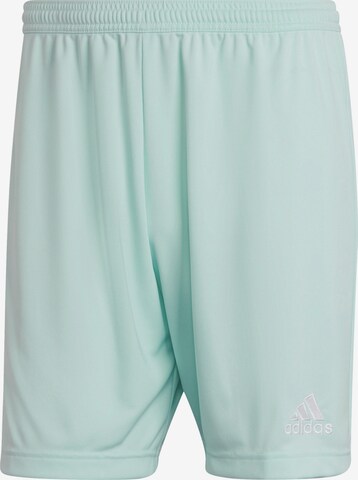 ADIDAS SPORTSWEAR Regular Workout Pants 'Entrada 22' in Green: front