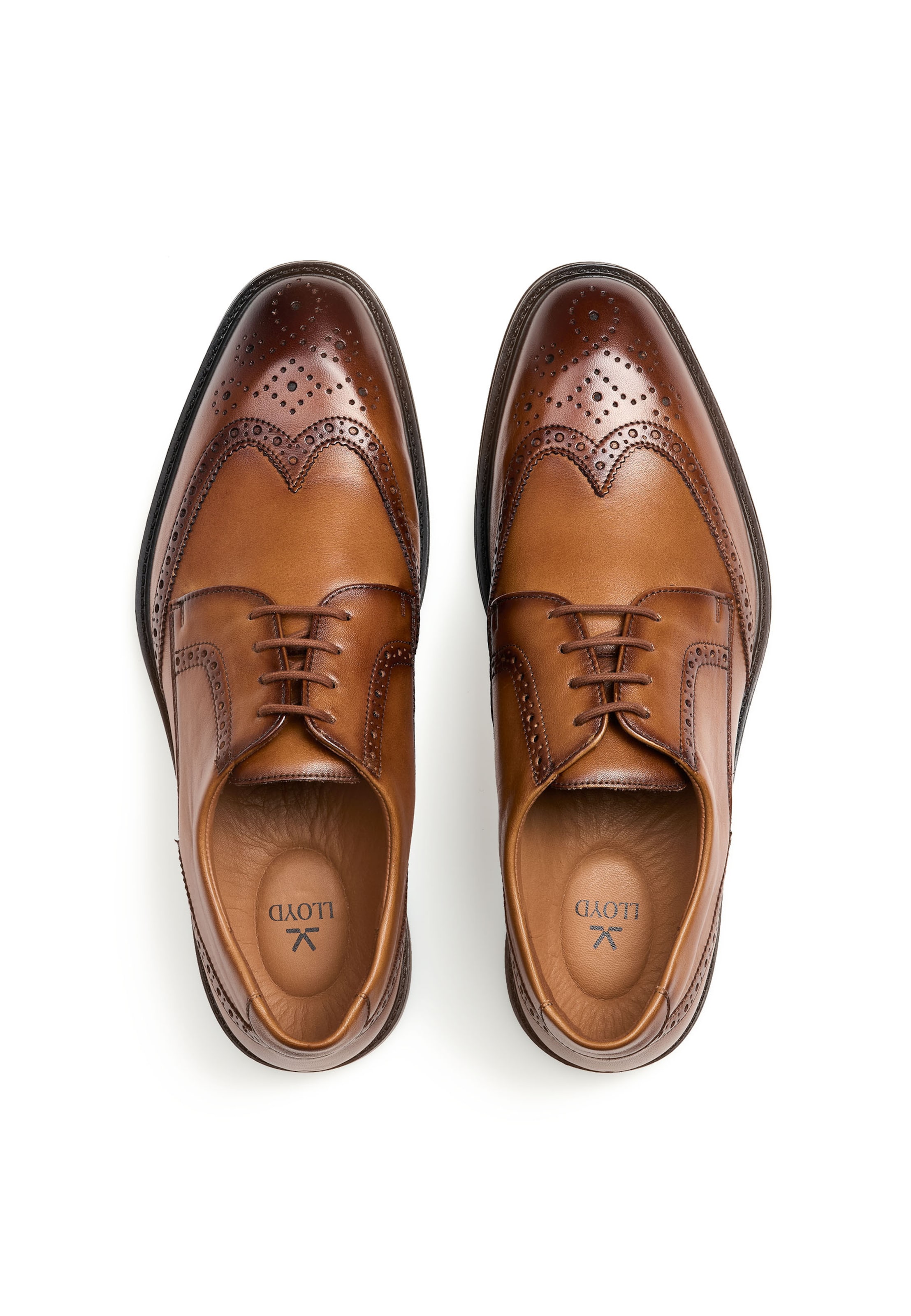 Scarpa stringata 'X-MOTION 140W' di LLOYD in marrone