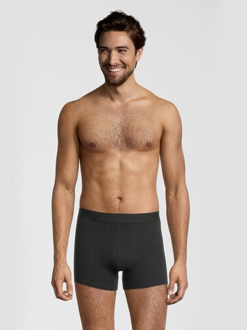 Albert Schäfer Boxer shorts in Black: front