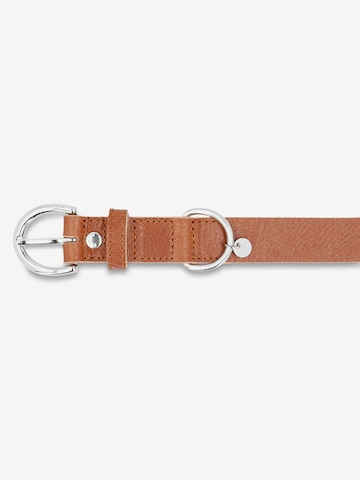 Picard Pet accessories 'Collar' in Brown