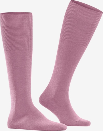 FALKE Knee High Socks 'Airport' in Pink: front