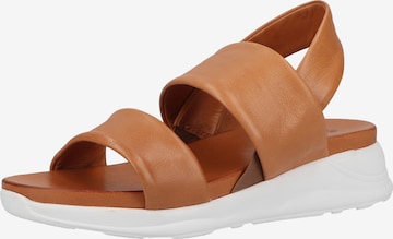 ILC Sandalen met riem in Bruin: voorkant