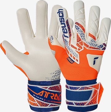 REUSCH Sports gloves 'Attrakt Gold X NC' in Orange: front