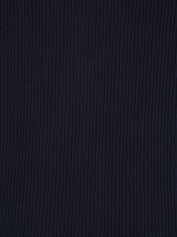 s.Oliver Sweater in Blue