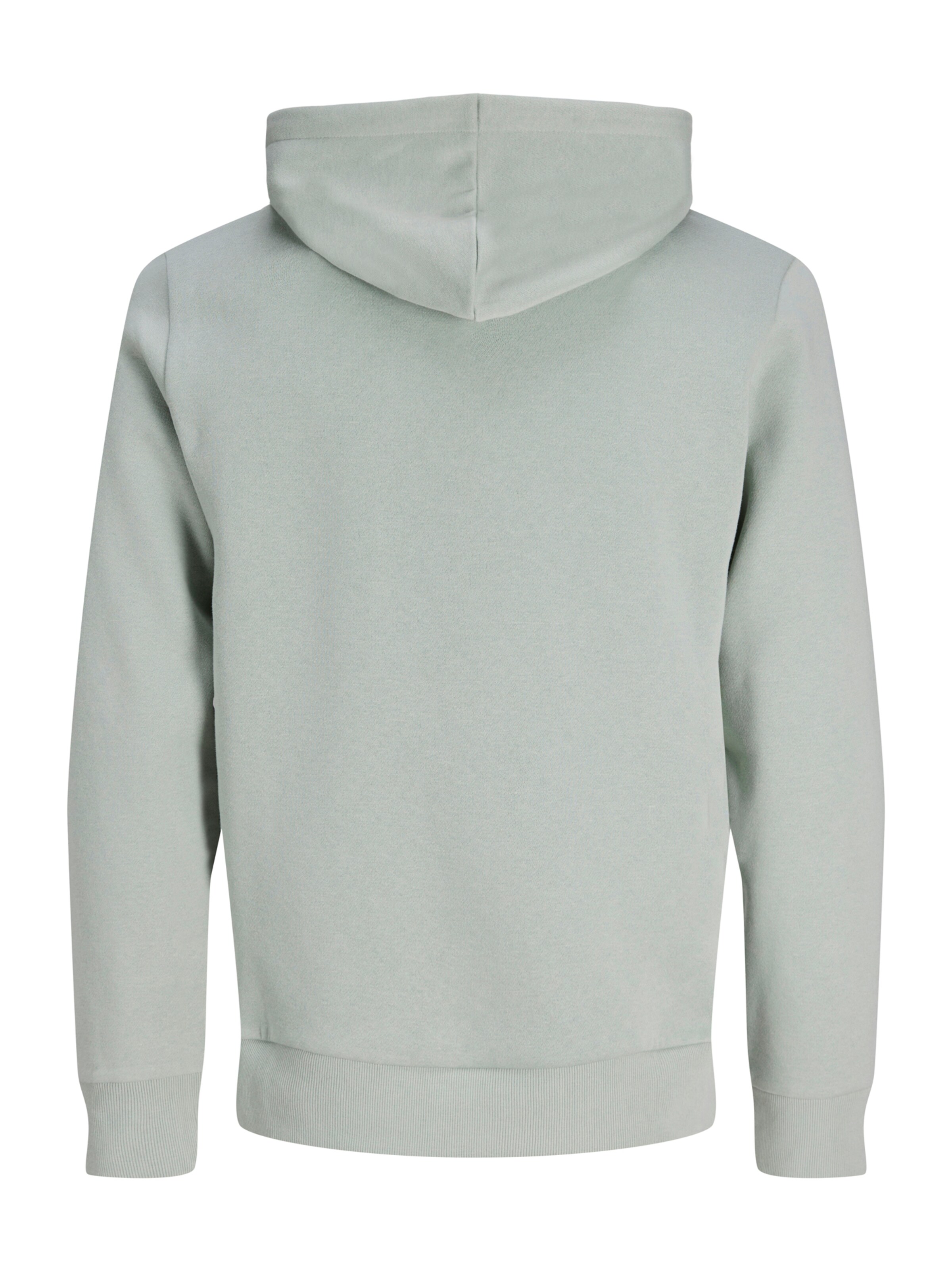 JJ Rebel Sweatshirt 'JREBREBEL' i grå