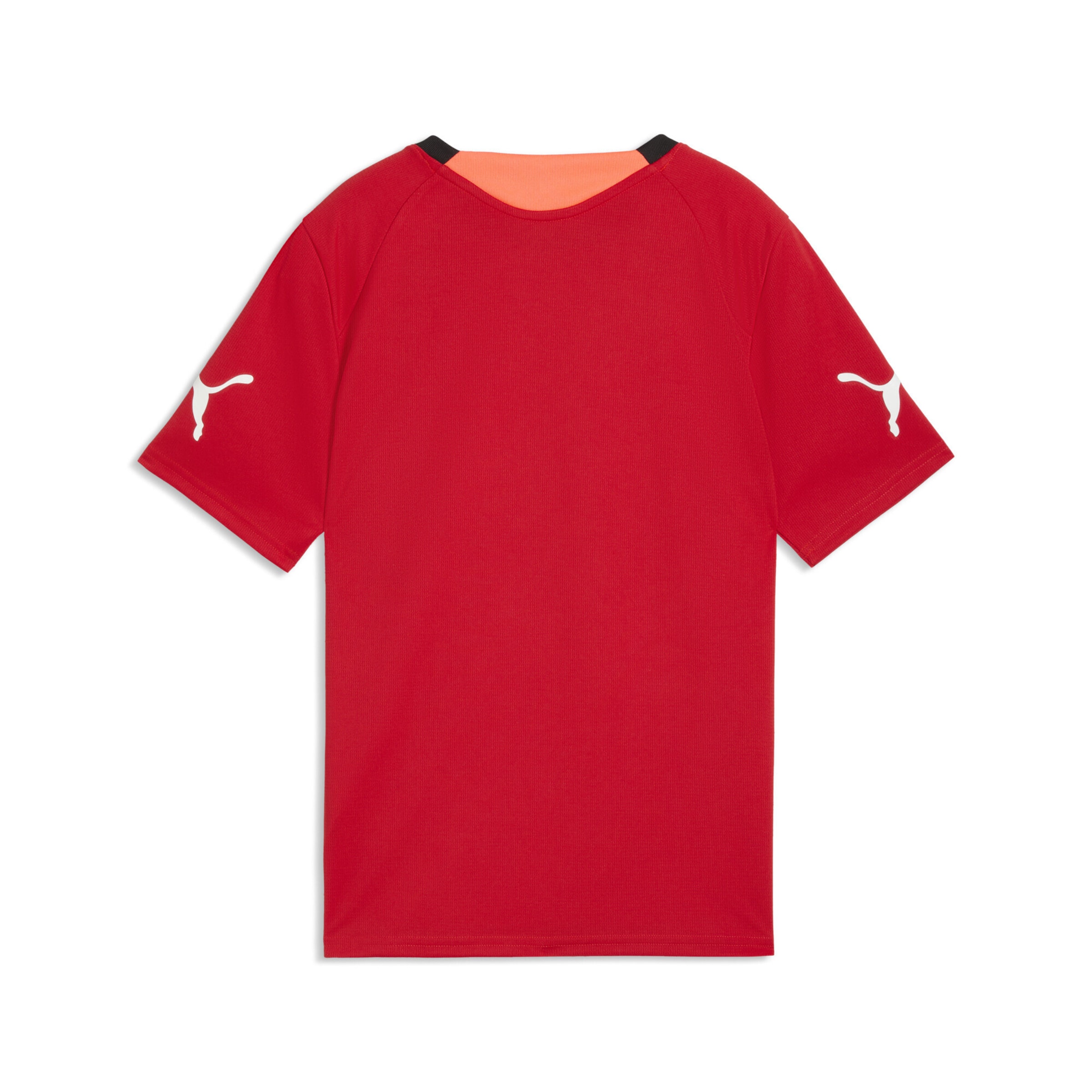 PUMA Performance shirt 'Individual Final' in Red