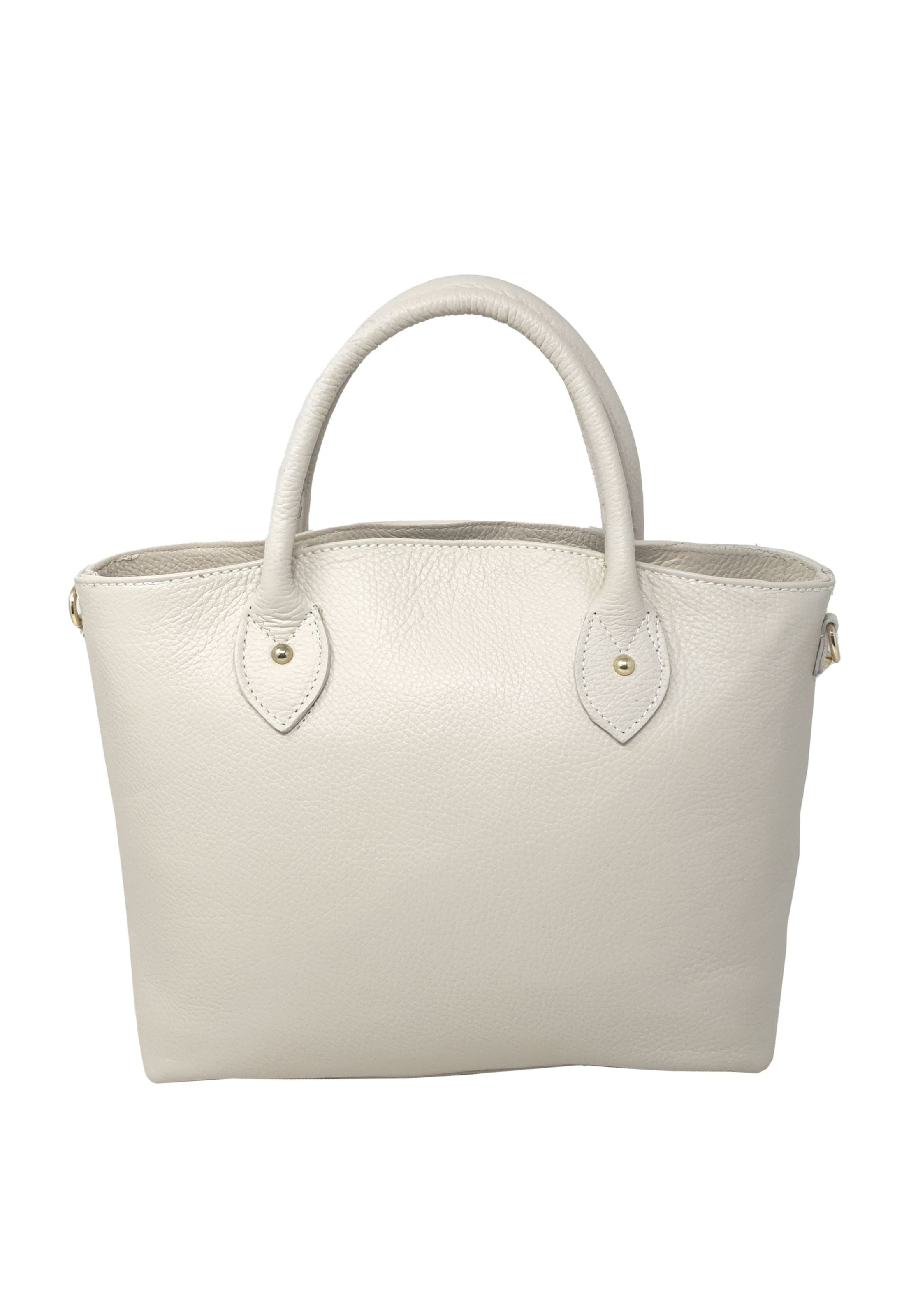CHICCA BORSE Handbag in Beige: front