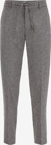 Regular Pantalon à plis WE Fashion en gris : devant