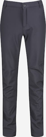 REGATTA Regular Outdoor Pants 'Fenton' in Grey: front