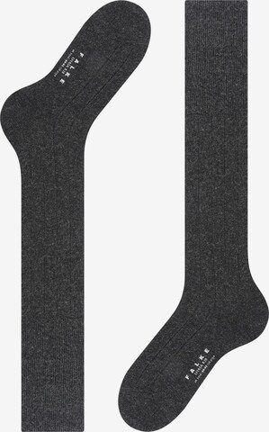 FALKE Knee High Socks 'Lhasa Rib' in Grey: front