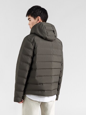 Calvin Klein Winter jacket in Green: back