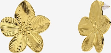 Lucardi Earrings 'Chic' in Gold: front