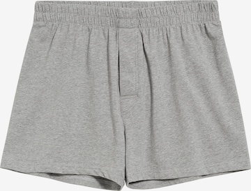 ARMEDANGELS Boxer shorts 'AASKER' in Grey: front