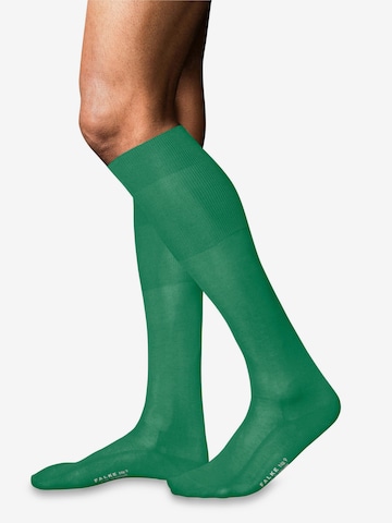FALKE Knee High Socks 'No. 9 Pure Fil d´Écosse' in Green: front
