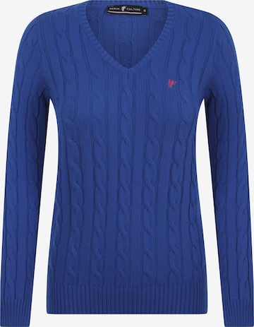 DENIM CULTURE Sweater 'Holly' in Blue: front