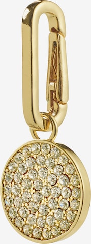 Pilgrim Riipus värissä kulta: etupuoli