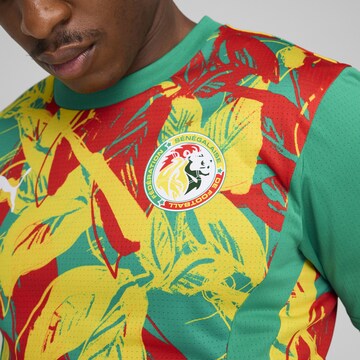 PUMA Jersey 'Senegal 2025 ' in Green