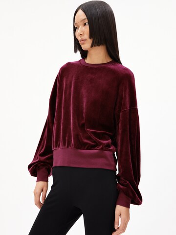 ARMEDANGELS Sweatshirt 'LEDIANAA' in Rood: voorkant