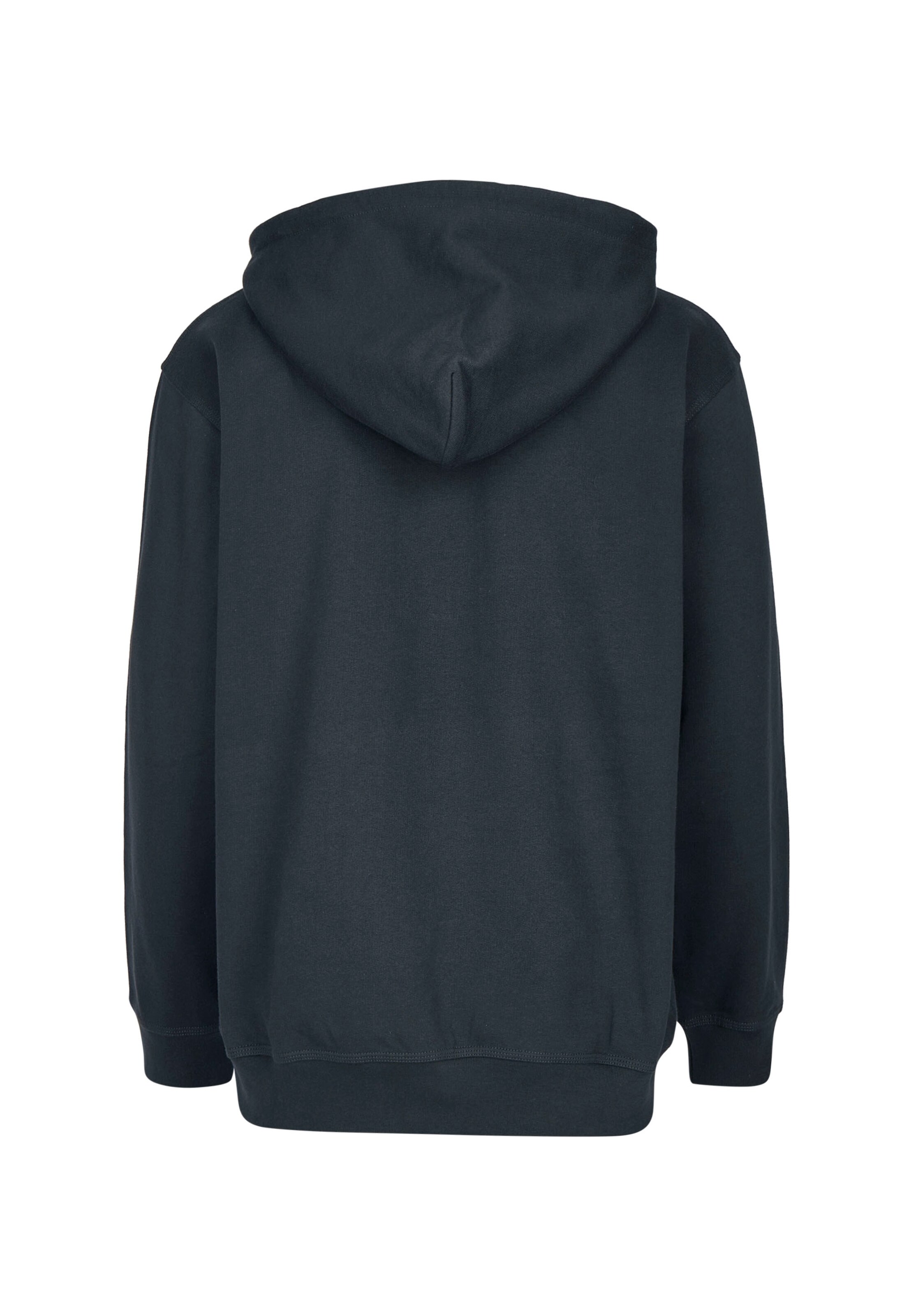 Cleptomanicx Sweatshirt 'Ligull Boxy' in Grau