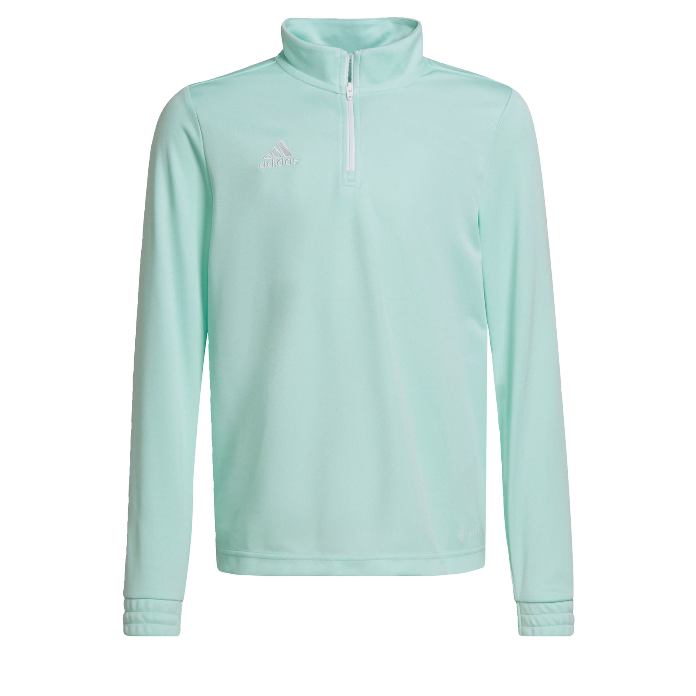 ADIDAS PERFORMANCE Sportsweatshirt 'Entrada 22' in Blau: Vorderseite