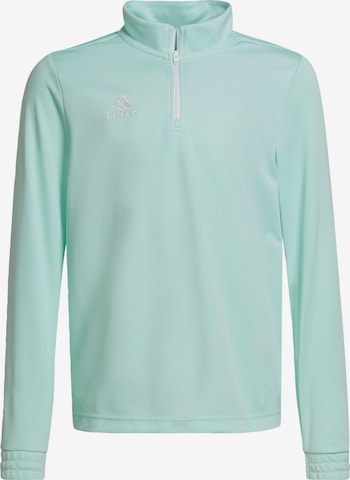 ADIDAS PERFORMANCE Performance Shirt 'Entrada 22' in Blue: front