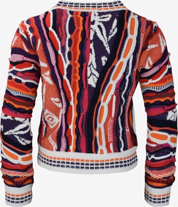 Carlo Colucci Sweater 'Casassa' in Mixed colors