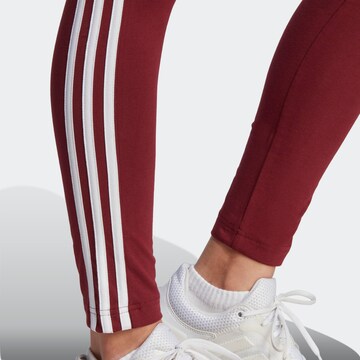 ADIDAS SPORTSWEAR Skinny Workout Pants 'Essential' in Red
