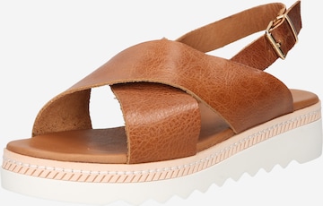 INUOVO Sandals in Brown: front