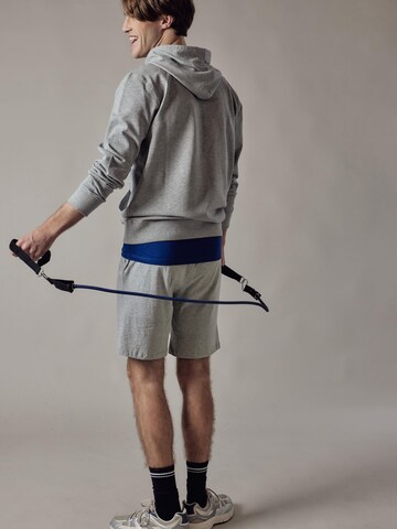 OWN Off With Nature Sweatshirt 'Felpa con Cappuccio' in Grijs