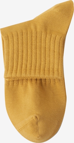 Millo Socken 'Everyday Teens' in Gelb: Vorderseite