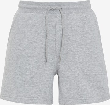 Threadbare Pants 'Spencer' in Grey: front