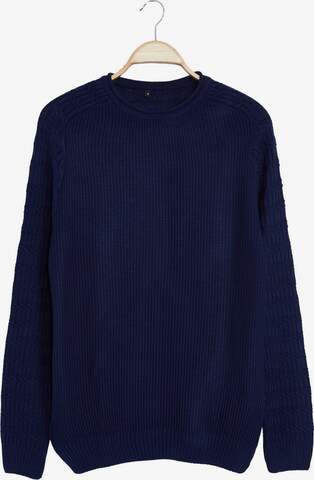 Trendyol Pullover in Blau: Vorderseite