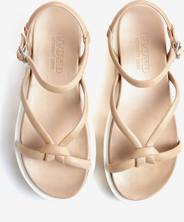 LLOYD Strap Sandals in Beige