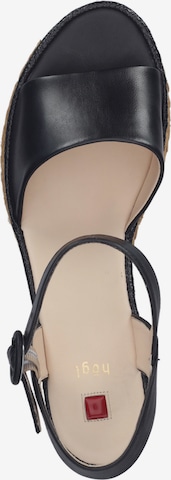 Högl Sandals in Black