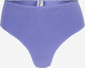 ETAM Bikini Bottoms in Purple: front