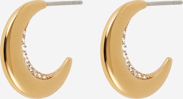 SKAGEN Earrings in Gold: front