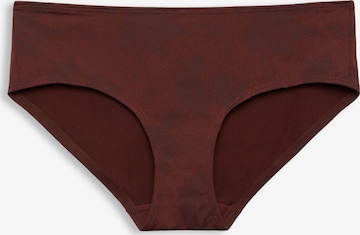 ESPRIT Panty in Brown: front