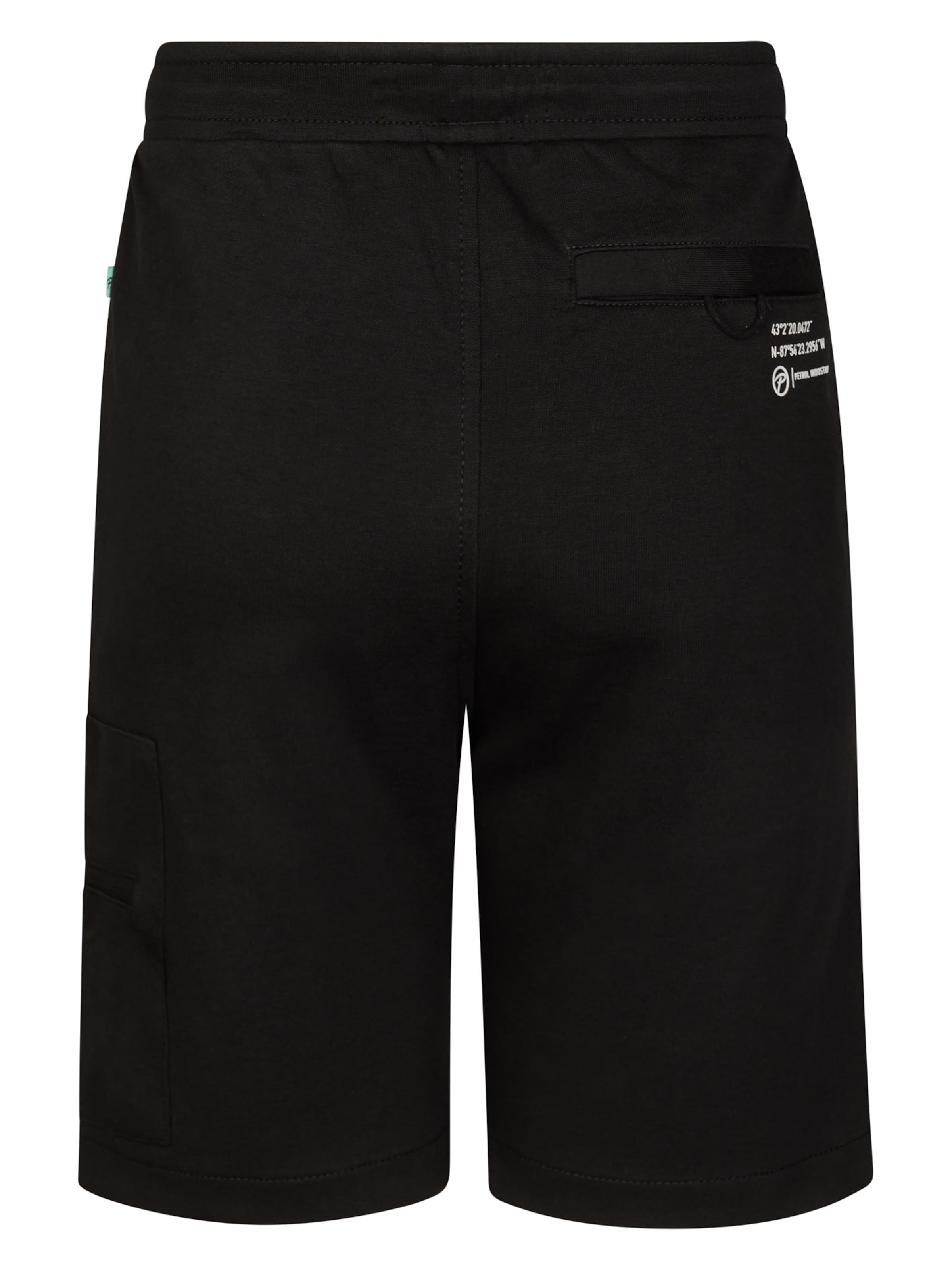 Regular Pantalon 'Pacifico' Petrol Industries en noir