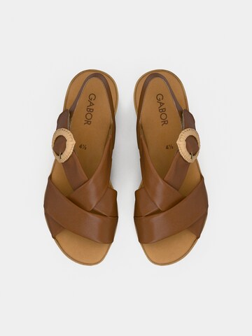 Sandales à lanières GABOR en marron