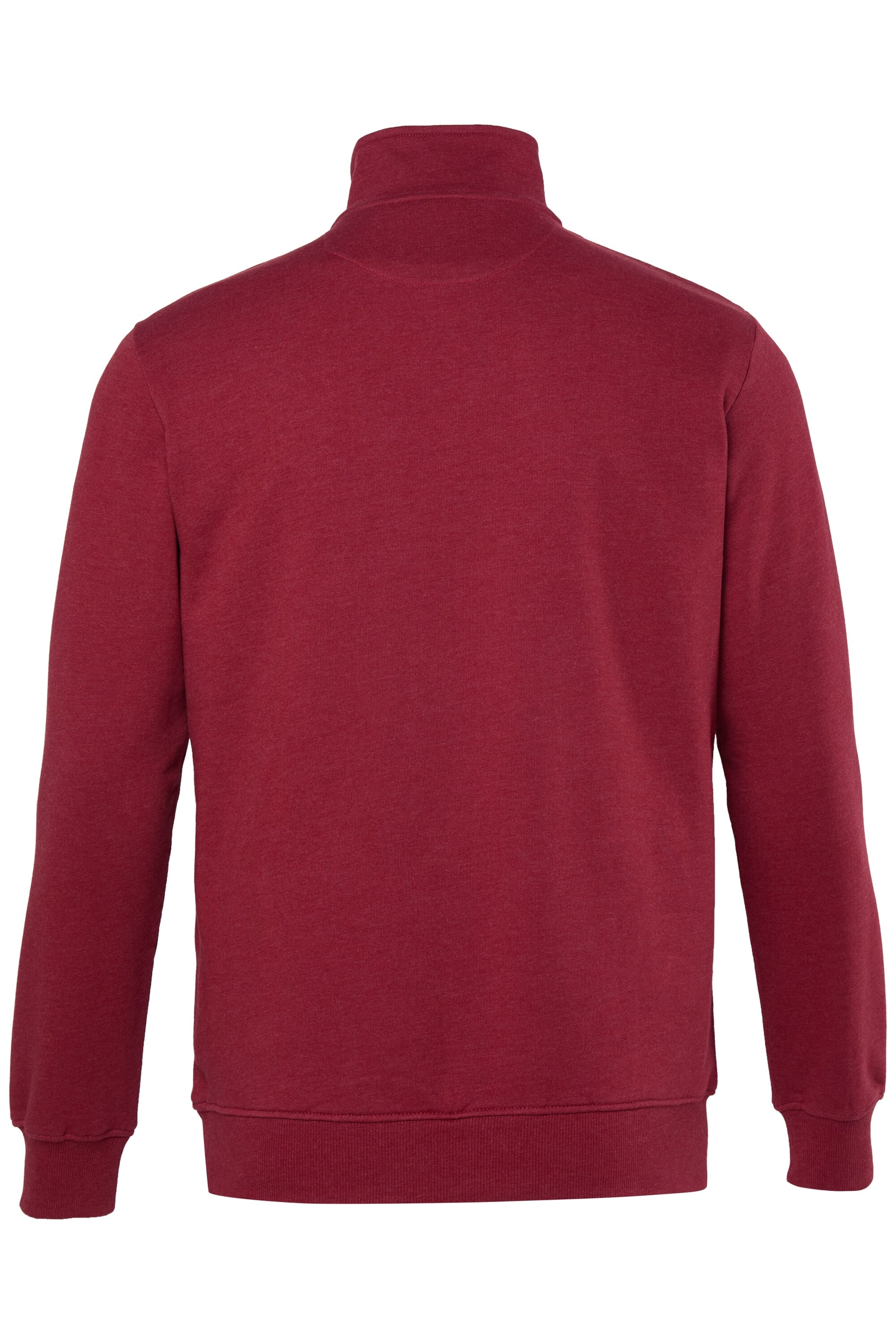 Men Plus Sweatshirt in Rot