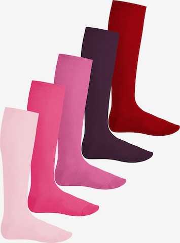 footstar Knee High Socks 'EVERYDAY!' in Pink: front