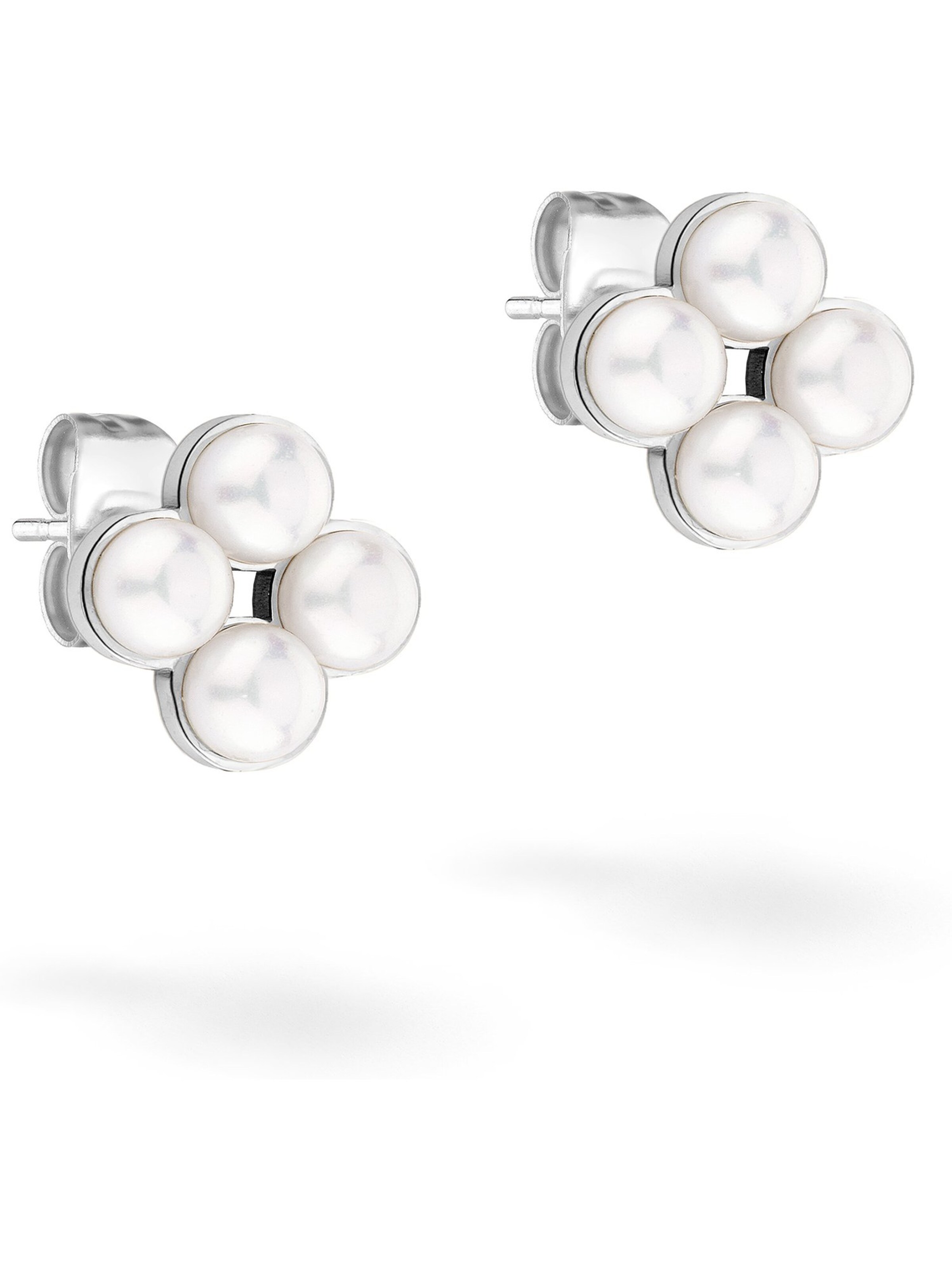 Tamaris Earrings in Silver: front