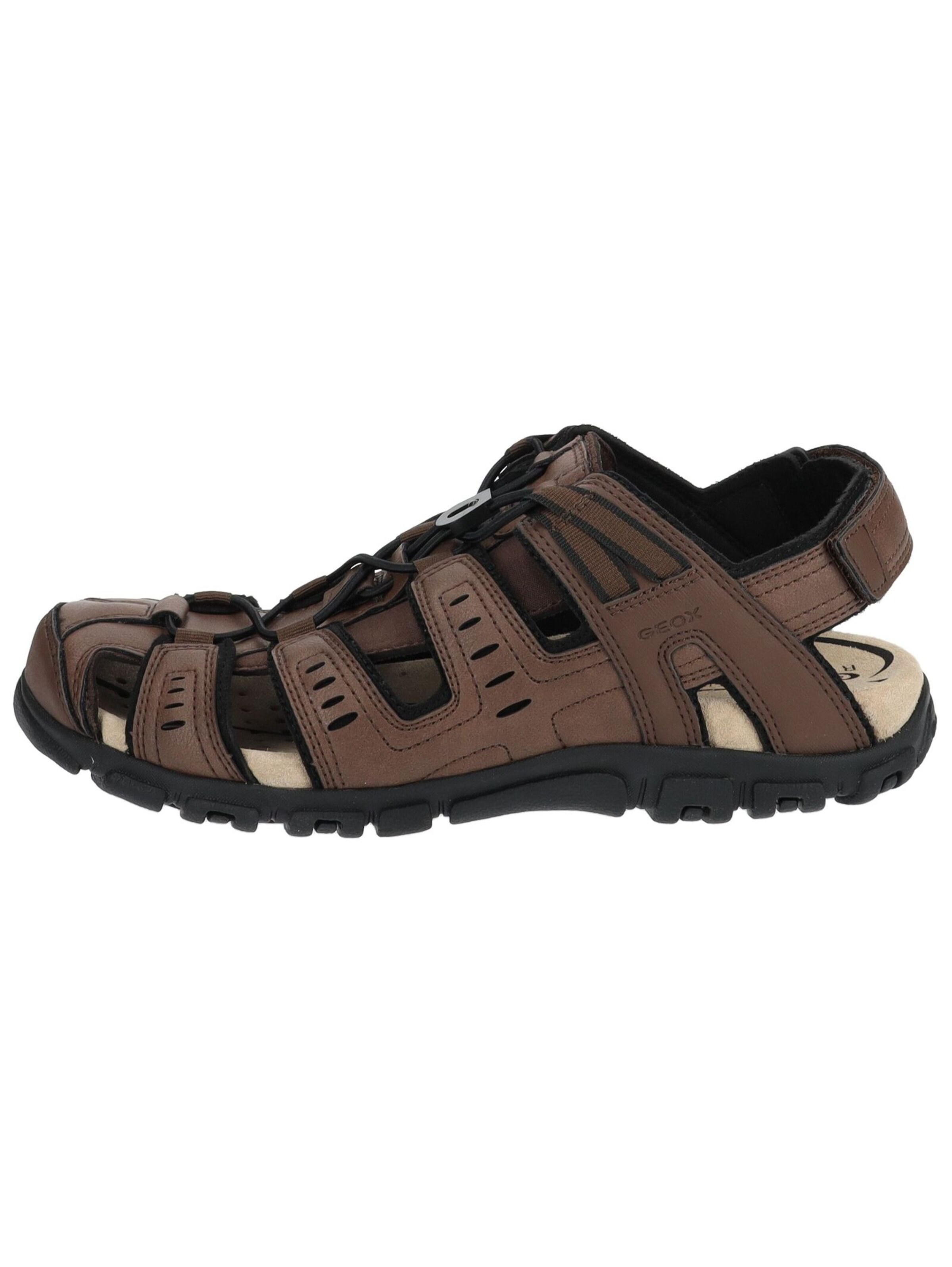 GEOX Sandalen in Bruin