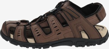 GEOX Sandals in Brown