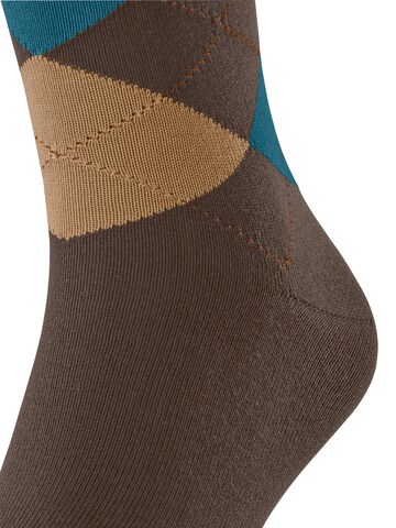 FALKE Socks 'Sensitive Argyle' in Brown