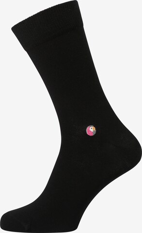 Sokid Socks in Black