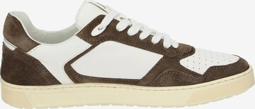 SIOUX Sneakers laag 'Tedroso-704' in Bruin