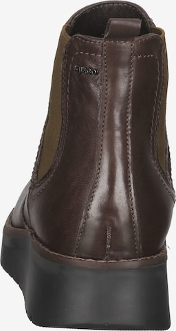 IGI&CO Chelsea boots in Bruin