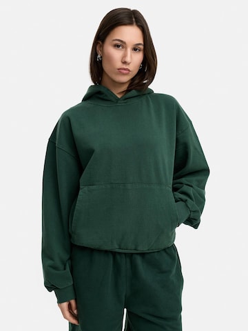 Daily Cotton Sweatshirt 'DCVIVEIRO' in Green: front
