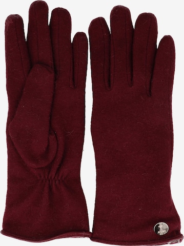 JOOP! Fingerhandschuhe in Rot: Vorderseite